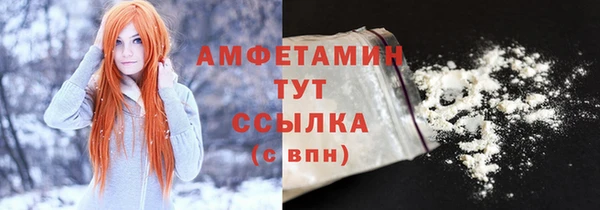 твердый Гусев