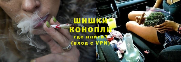 твердый Гусев
