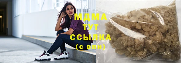 твердый Гусев