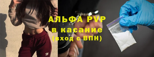 твердый Гусев