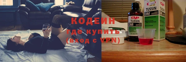 spice Дмитриев