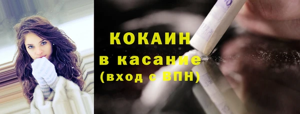 spice Дмитриев