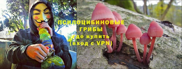 твердый Гусев