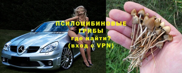 твердый Гусев